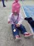 obec Pi��n �
